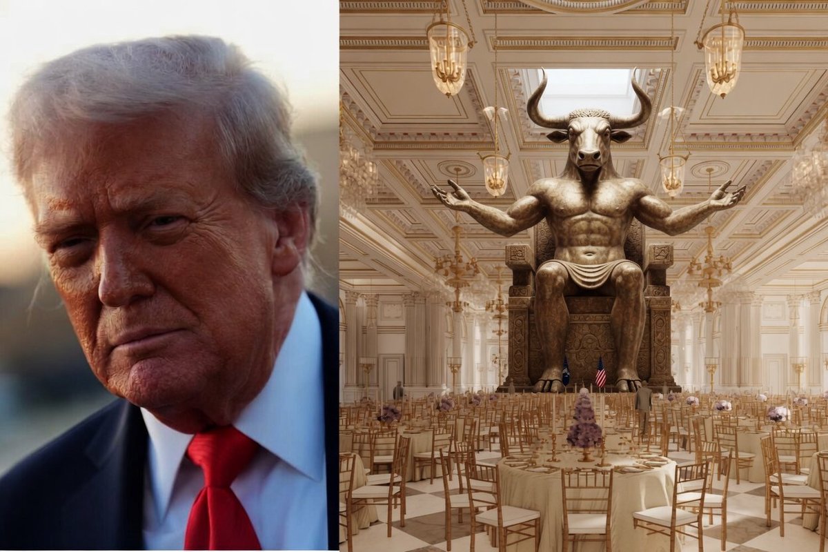 Dan Bilzerian for Congress tweet media