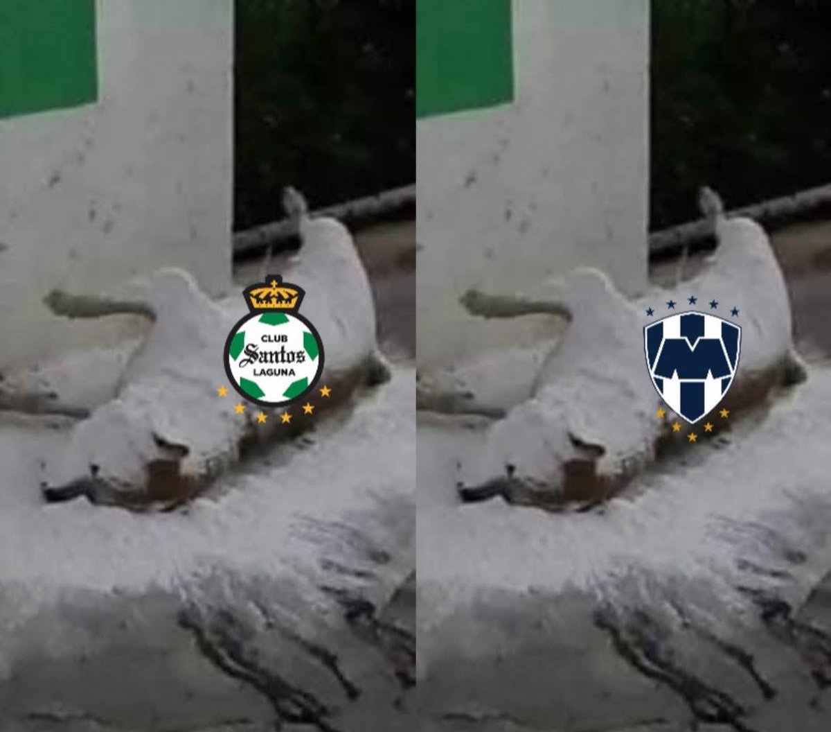 Yuri (Apuestas) tweet media