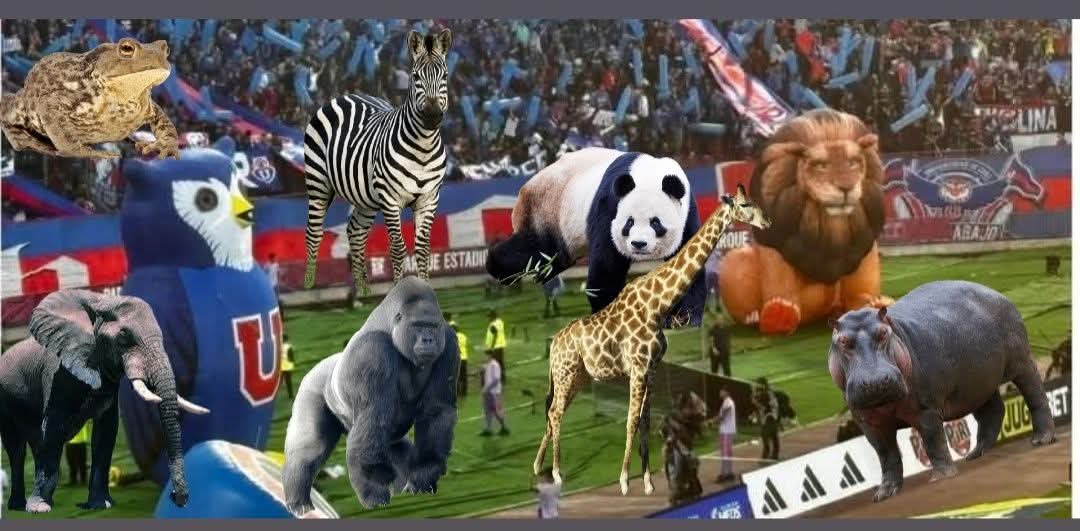 Boris♱☭⃠ tweet media