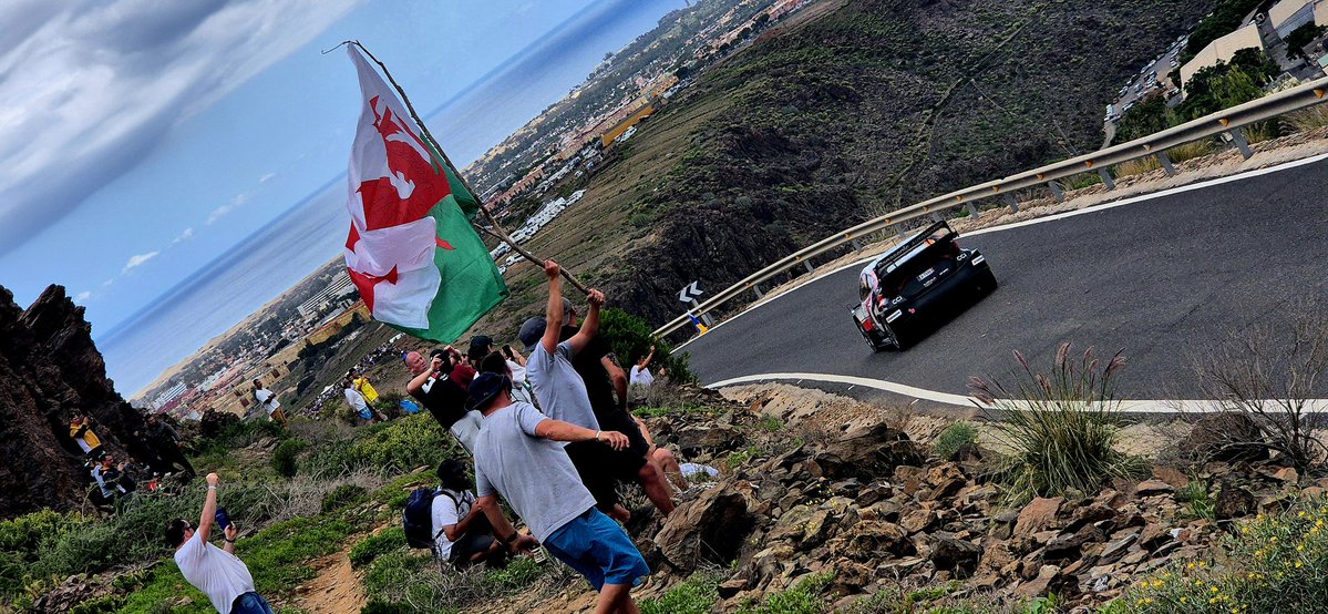 simon winstone tweet media