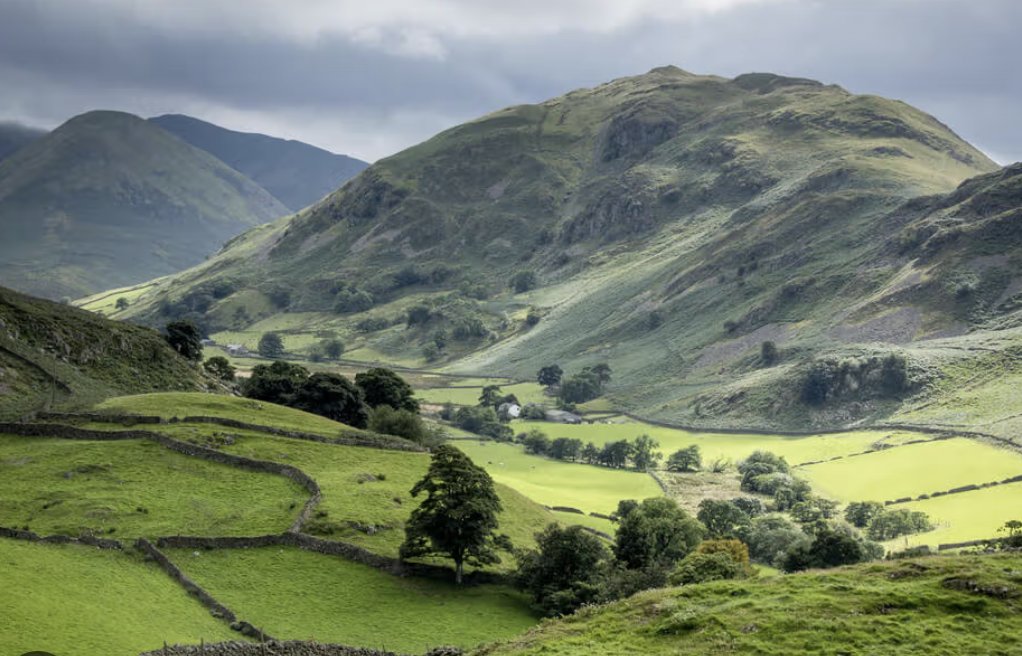 WarMonitor🇺🇦🇬🇧 tweet media