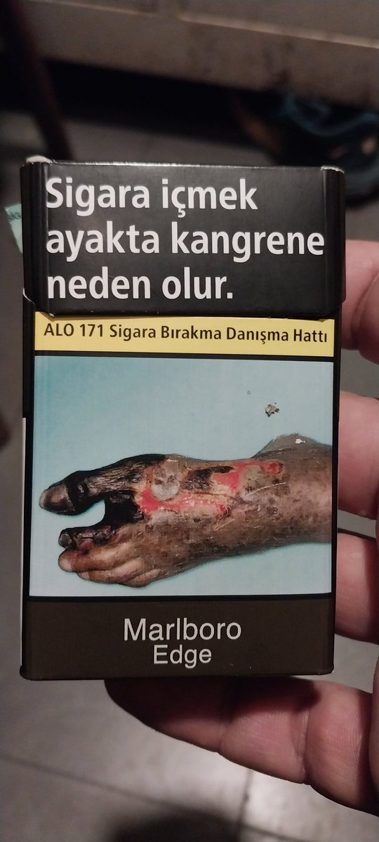 Mohammad Nourani🎒 tweet media