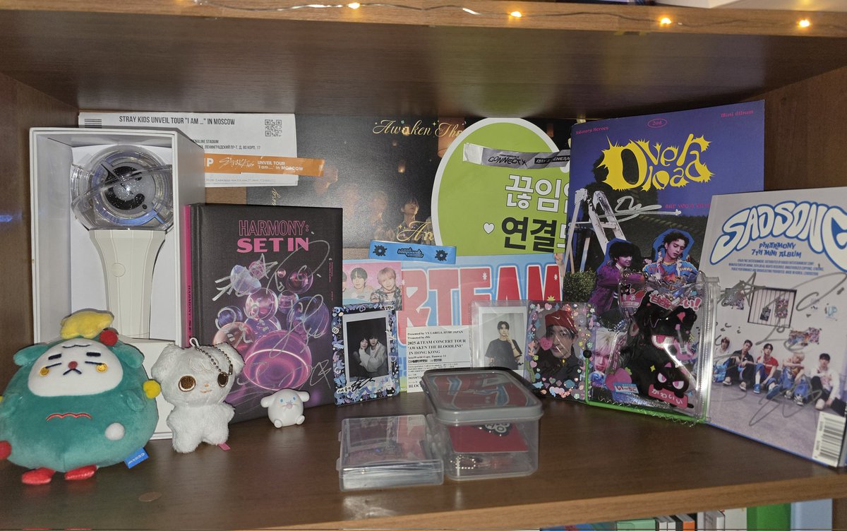 okayyyyy i finally put my bookcase in order ! rate my treasures :D ...