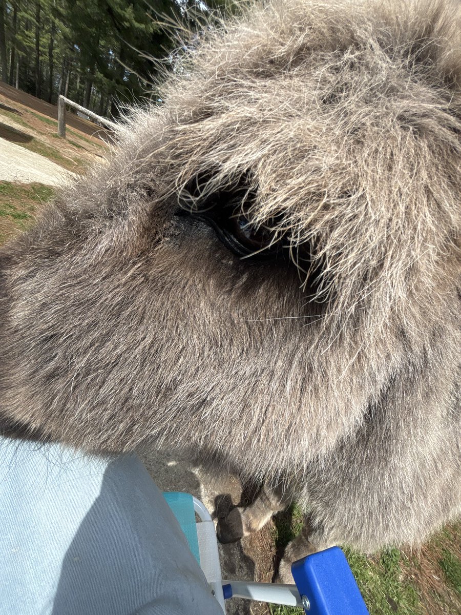 ︎︎ ᅠᅠᅠᅠ ᅠᅠᅠᅠ ᅠᅠ ᅠᅠᅠᅠ ᅠᅠᅠᅠَ َꩇׁׅ݊aₗᵢ⌣ k͟𝐚͟. ˒ tweet media