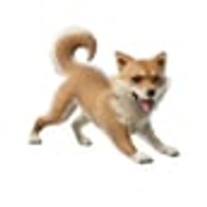 Ross Roy tweet media