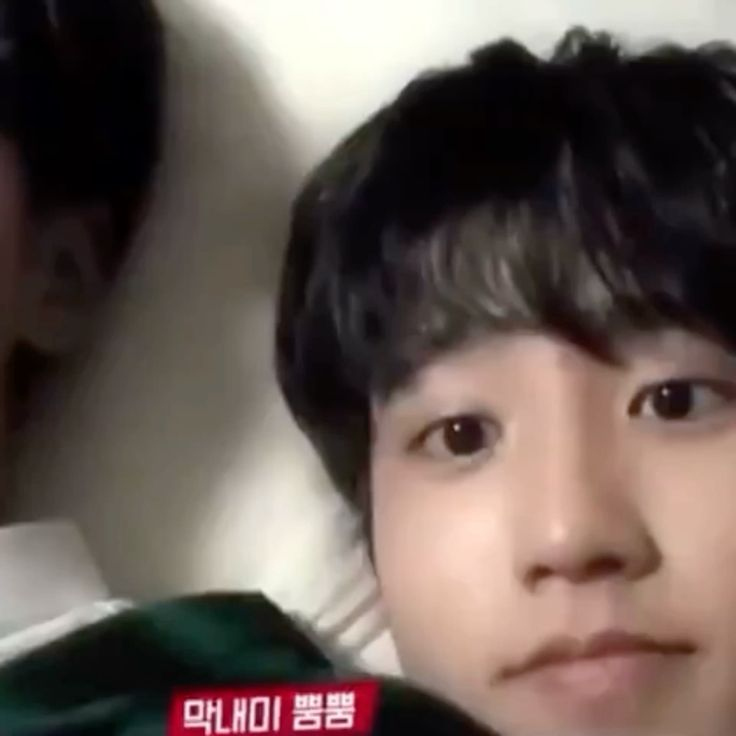 nibbel (๑ᵔ⤙ᵔ๑) tweet media