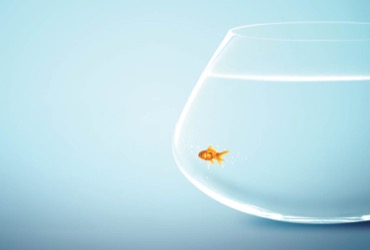 gensurgnews's tweet image. Solo surgeon, big pond 🌊: Dr. Todd Harris stands out in hernia care through patient education, videos, &amp;amp; trust-building. generalsurgerynews.com/a/_TQBAA/t  #HerniaSurgery #hernia