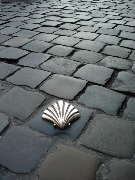 serendipitydrop's tweet image. Una fotografía del Camino de Santiago es una "shellfie".

#enlacabezano #please