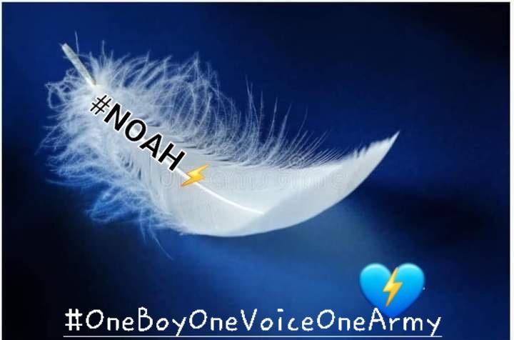McmullanBrendan's tweet image. #JusticeForNoahDonohoe ⠀⠀
#TruthForFiona 
#NoahsArmy⚡️ 
#OneBoyOneVoiceOneArmy 
#SpeakUpForNoah
#Week305