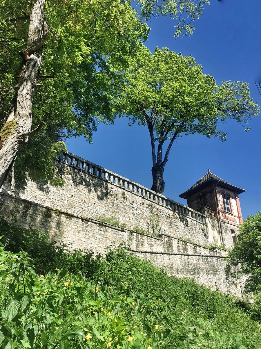 Paulette à bicyclette tweet media