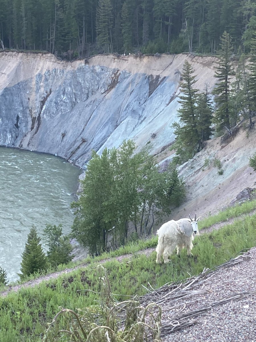Chiefstormsky's tweet photo. Fund our National Parks! 

Slashing their budget is asinine bonkers! https://t.co/CjhHHf0Vxb