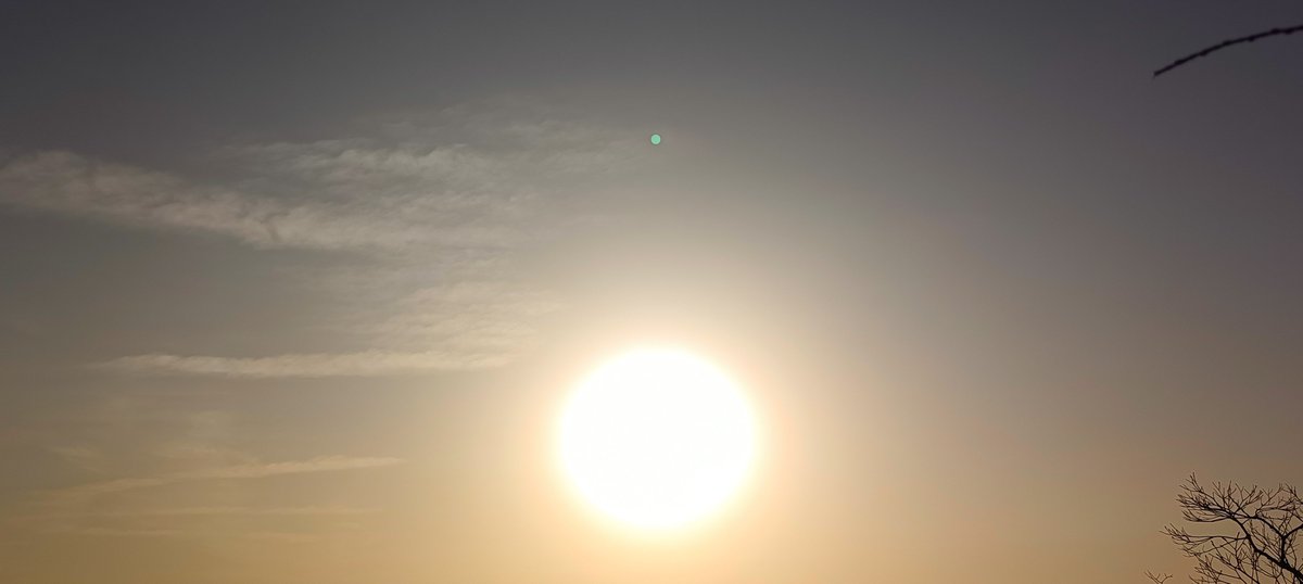 jessica  tweet media