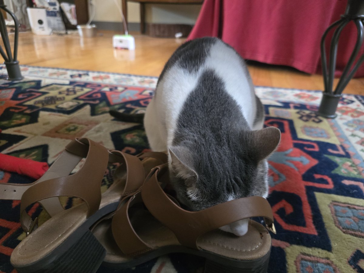 lead sandworm in dune 🧬⛓️ tweet media