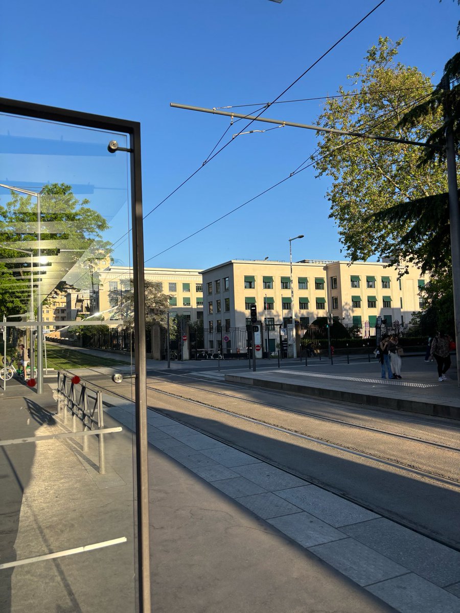 zak- 🇵🇸 tweet media