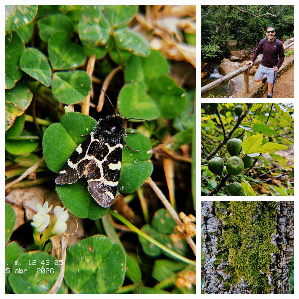 Sergio_R0's tweet image. Sendero Río de la Miel 🏞️🍓🐜

#hiking #nature #river #Algeciras #Cádiz