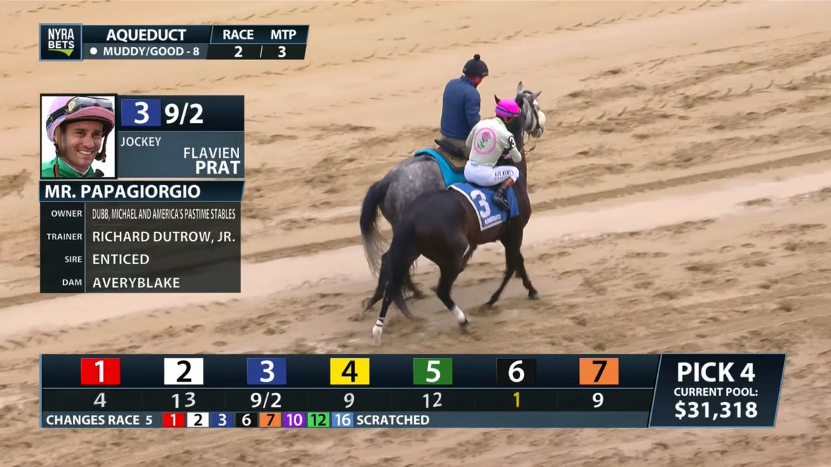 America’s Pastime Stables tweet media