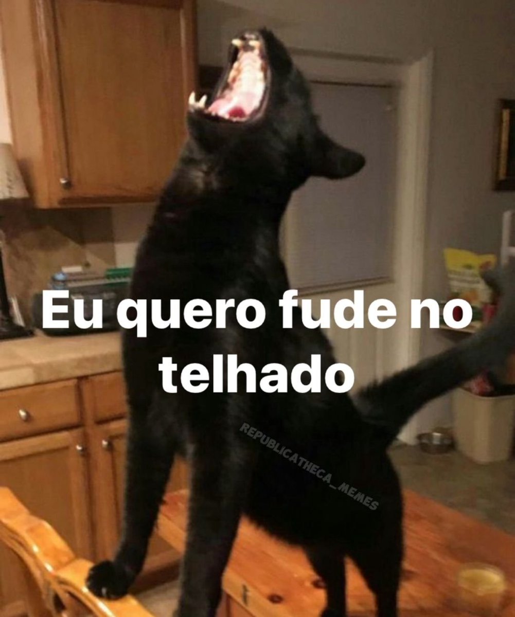 Traficante de Memes tweet media