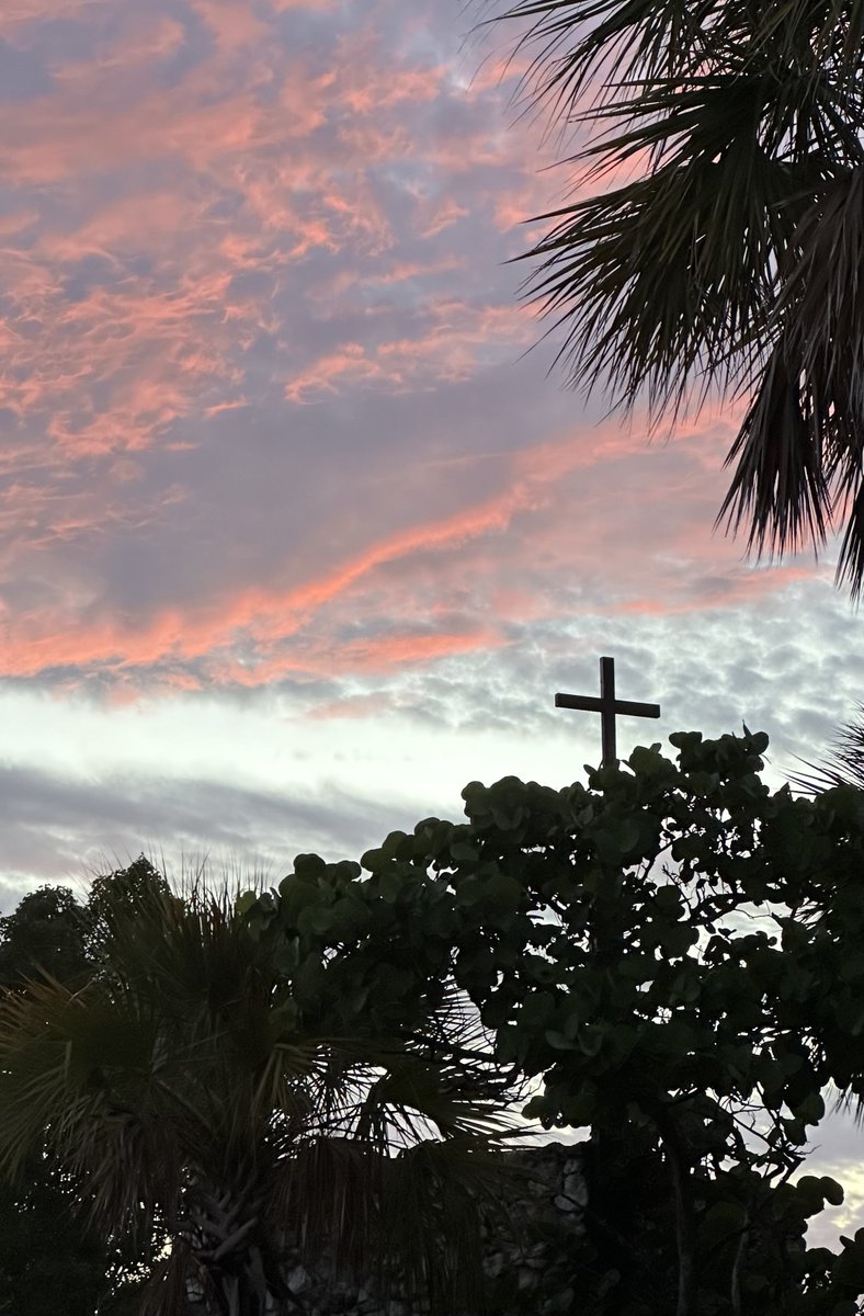 -djbf floridaman tweet media