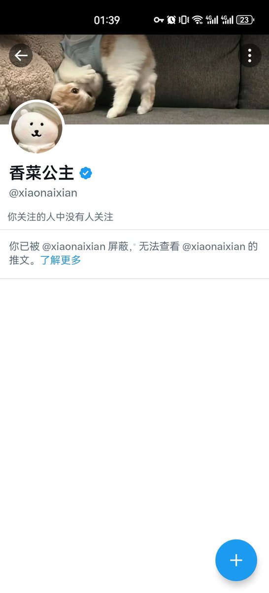 Lindsey22 tweet media