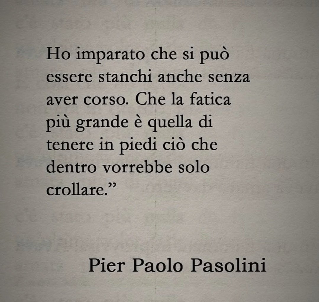 Chat Noir tweet media