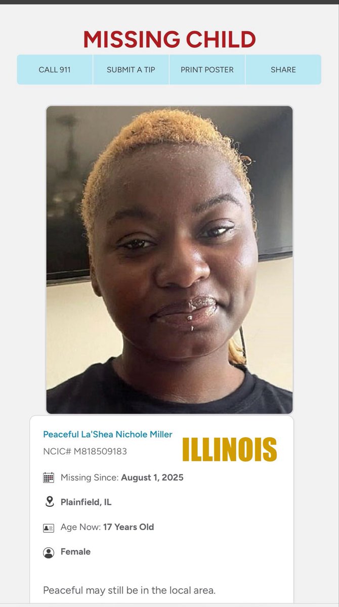 Ohio Shy Girl tweet media