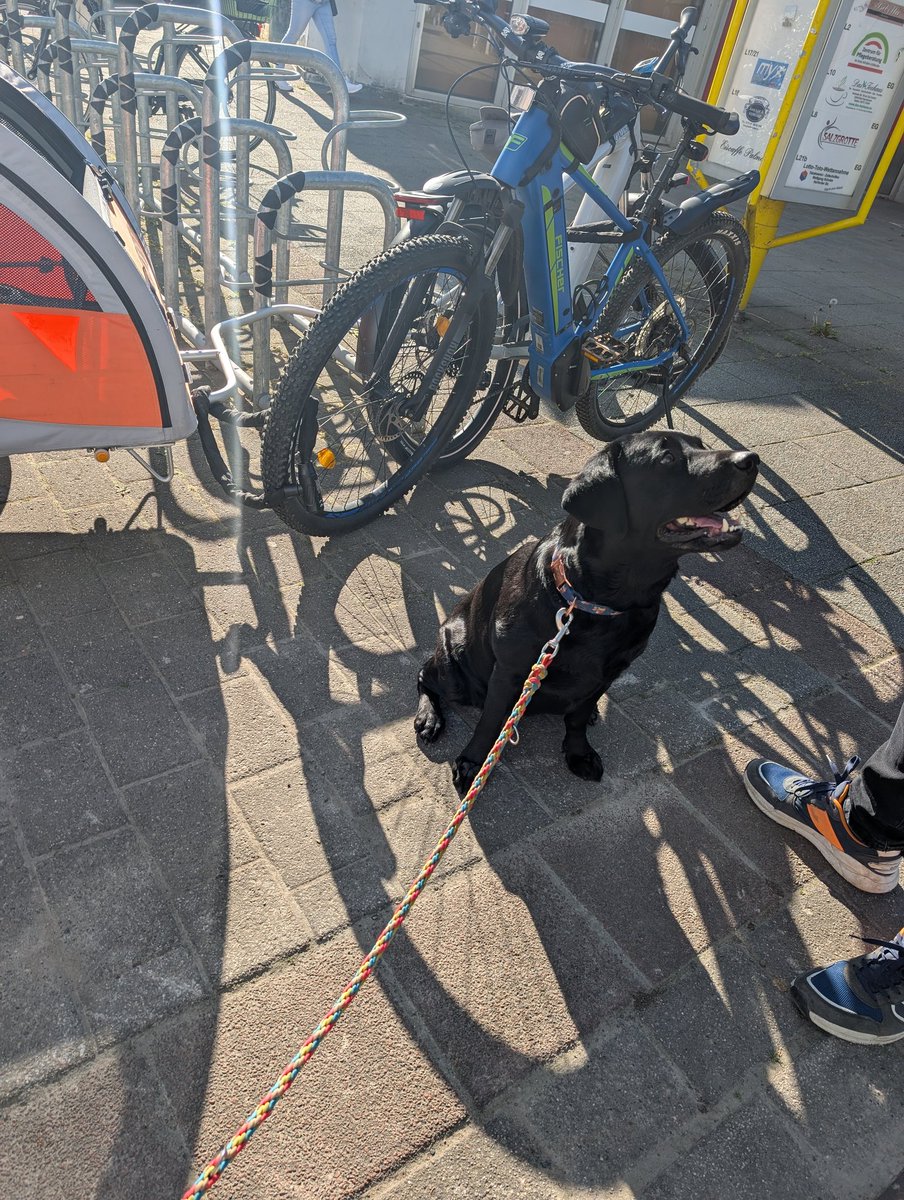 Polly_&🌈Lola tweet media