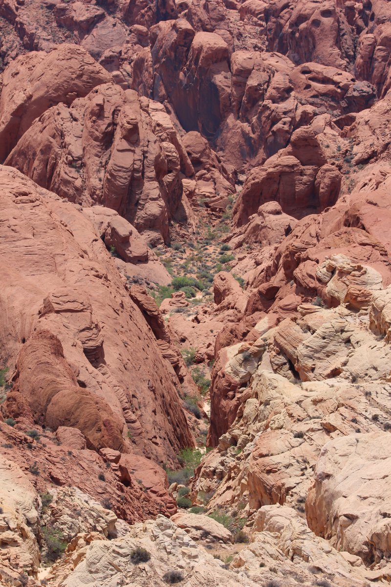 elguerolanchero's tweet image. #valleyoffire #nvstatepark #colors Capturing Nature and enjoying the surroundings.