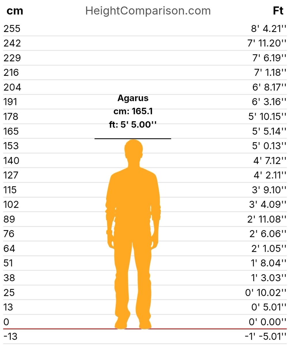 𝑴𝒓. 𝑯𝒊𝒈𝒉 𝑨𝒏𝒅 𝑴𝒊𝒈𝒉𝒕𝒚 .ᐟ tweet media