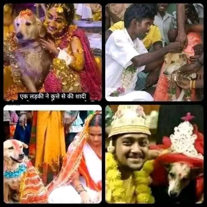 شخص بسيط tweet media