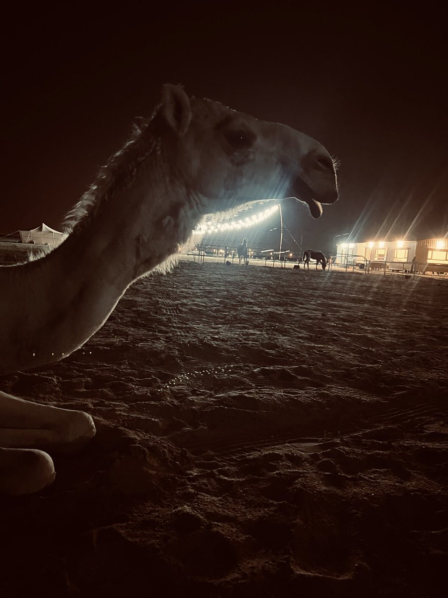 من لا  يقدر  لحيتك  لا تمره 
ترا  مجيك في محله ضعافه

خلك مثل نجم الجدي في مقره
حياة عز  ولا حياة الكسافه

#مسائكم_عفراء