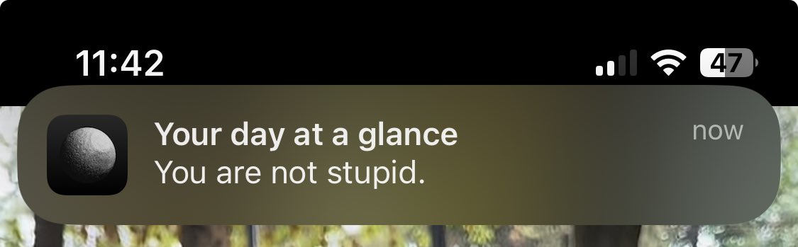without aunt tweet media