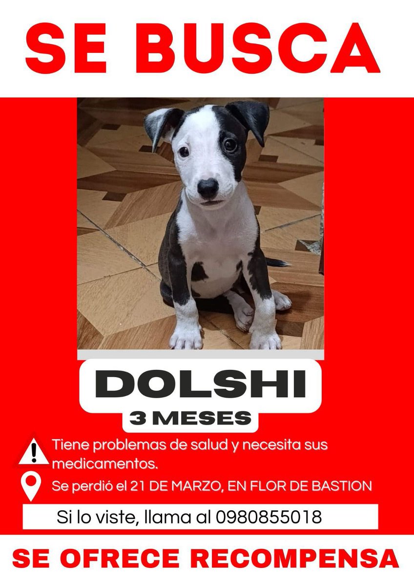 Alerta me perdi tweet media