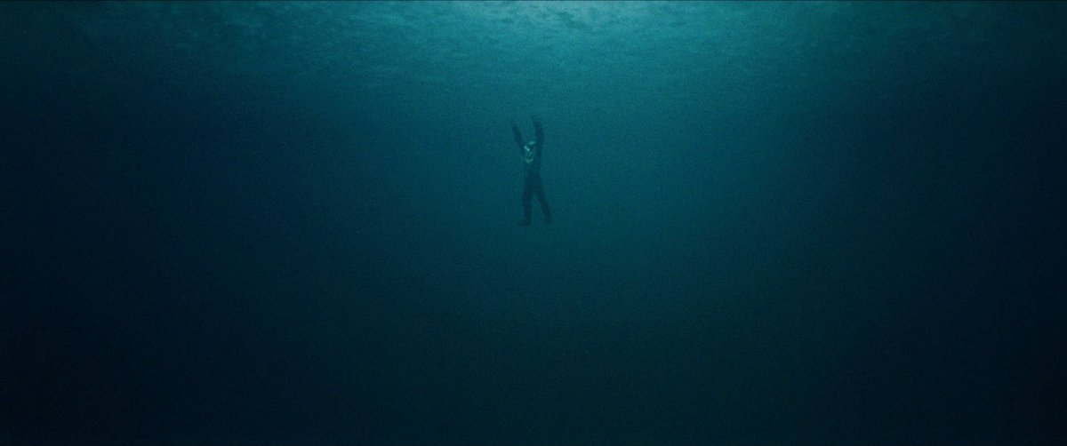 Sergio Muñoz Esquer tweet media