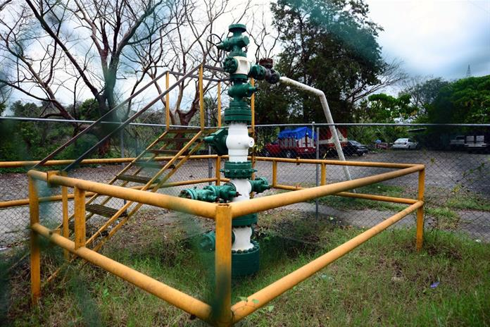 Canal 44 tweet media