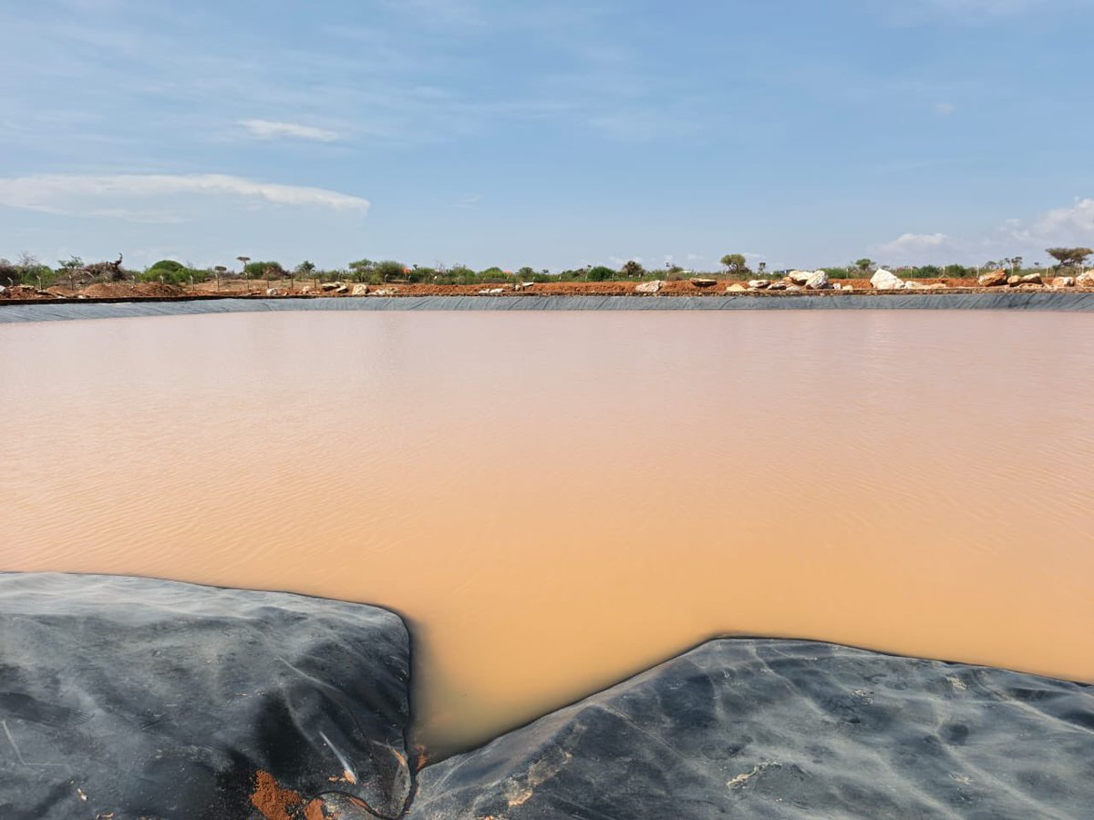NIS_EastAfrica's tweet photo. A sigh of relief in #Ceelbarde after the recently constructed water catchment reached full capacity following gu’ rains. @NorwayInSomalia &amp; @SwissEmbassyKE continue to support resilient water infrastructure to strengthen water security &amp; reduce the impact of droughts in #Somalia. https://t.co/Dog6yBEbYx