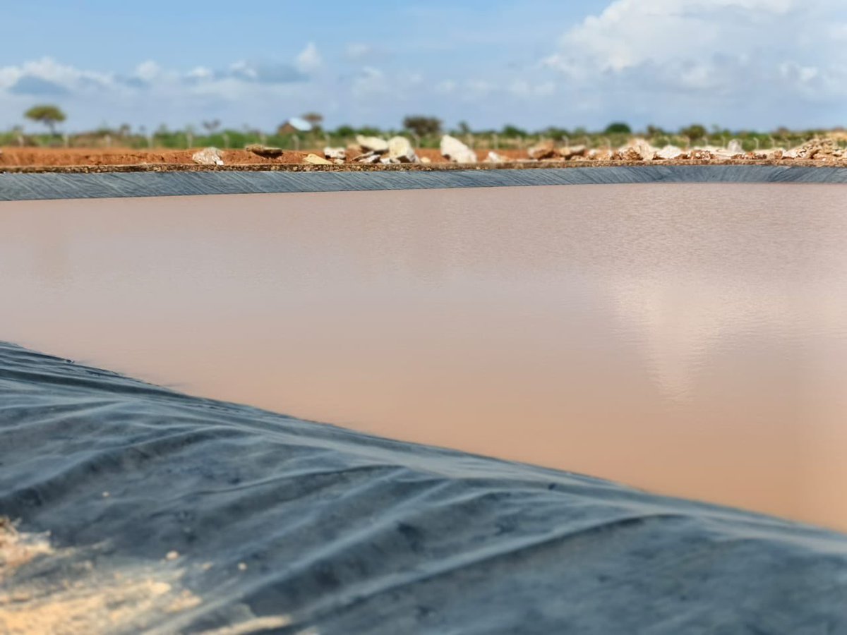 NIS_EastAfrica's tweet photo. A sigh of relief in #Ceelbarde after the recently constructed water catchment reached full capacity following gu’ rains. @NorwayInSomalia &amp; @SwissEmbassyKE continue to support resilient water infrastructure to strengthen water security &amp; reduce the impact of droughts in #Somalia. https://t.co/Dog6yBEbYx