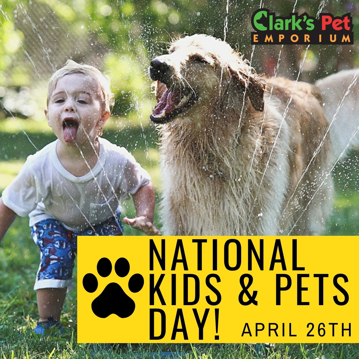 clarkspetsabq's tweet image. What better way is there to honor Prevention of Cruelty to Animals Month than by celebrating National Kids &amp;amp; Pets Day on April 26 each year? This day also celebrates the bond pets &amp;amp; children share. 🐾

#nationalkidsandpetsday #kidsandpets #pets