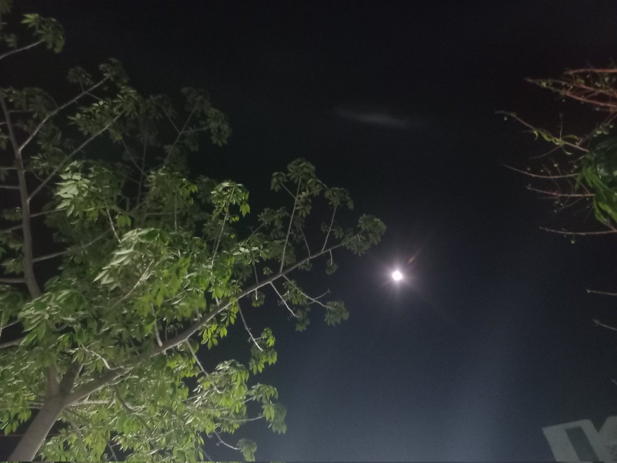 n-khattak tweet media