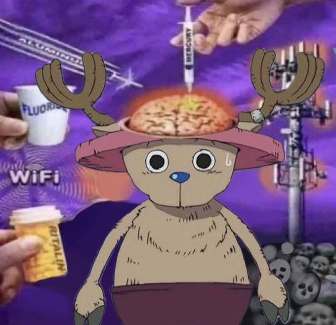 sara 🦆 tweet media