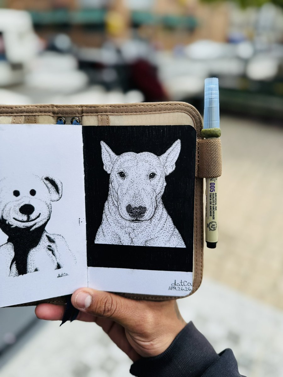 datCo✏️ tweet media