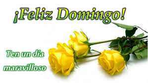 Virginia Cruz tweet media