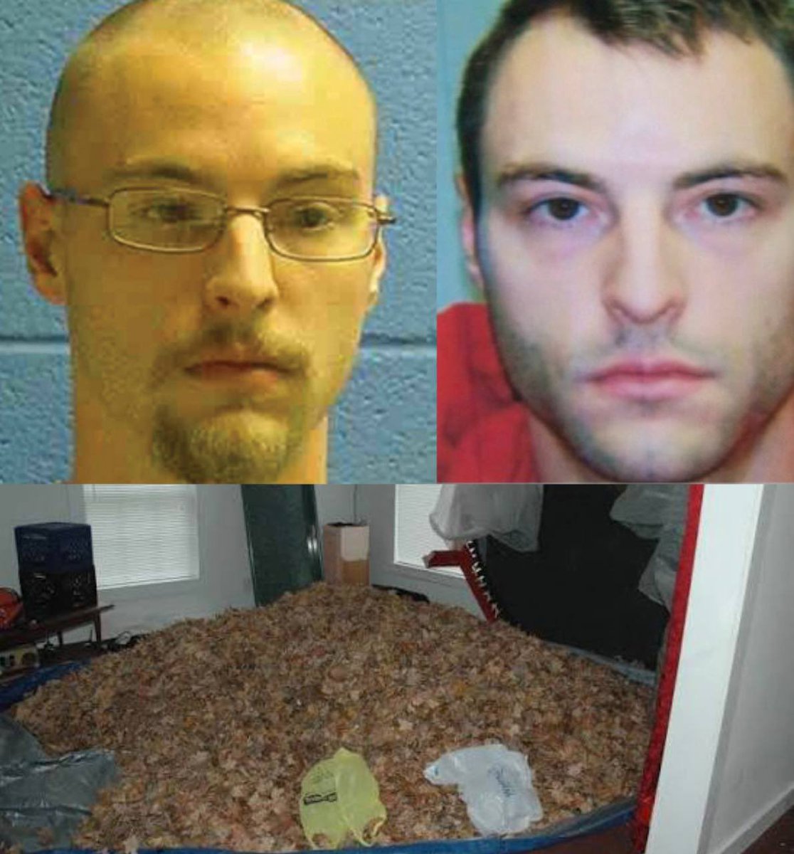 Morbid Knowledge tweet media