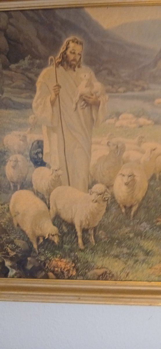 unKleDonkey951 tweet media