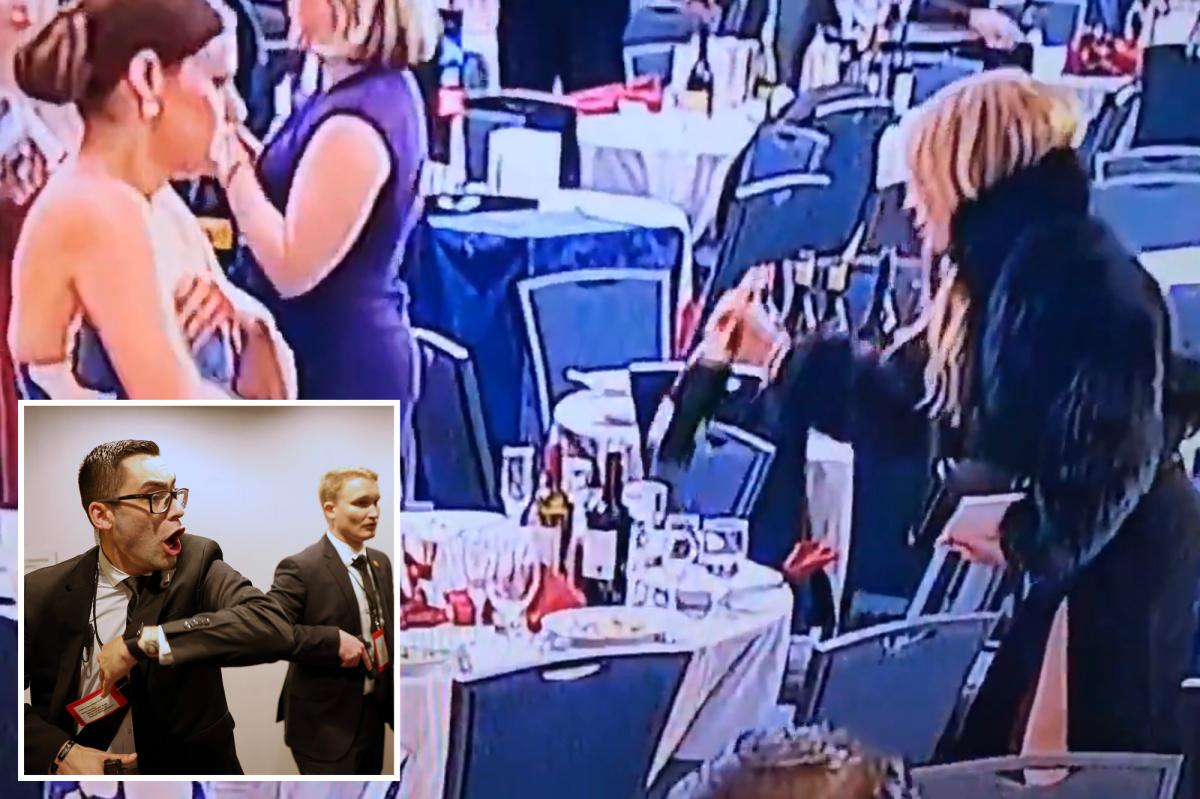 Woman seen snatching wine bottles in aftermath of White House Correspondents' Dinner shooting trib.al/yh1GwLp
