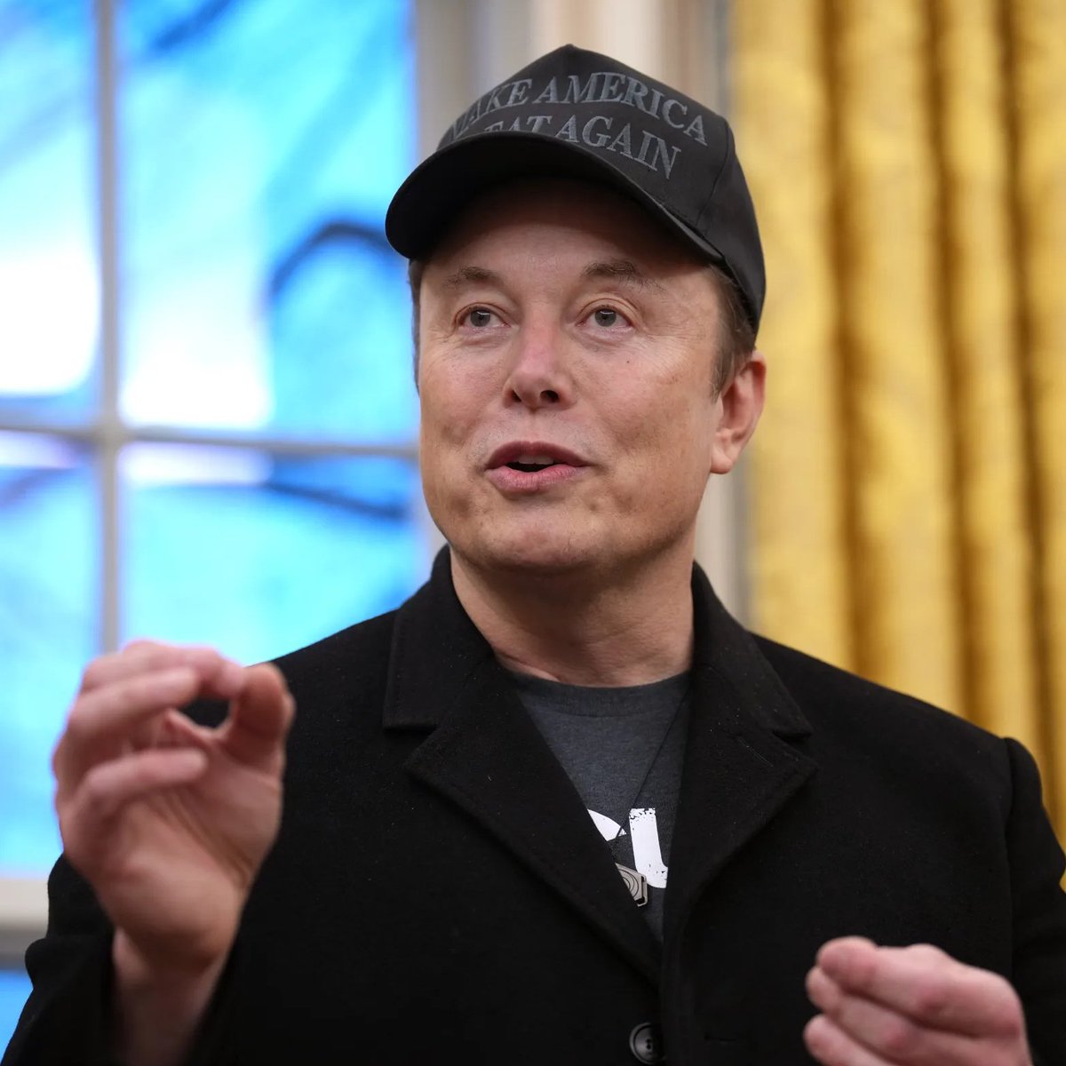 Muskonomy tweet media