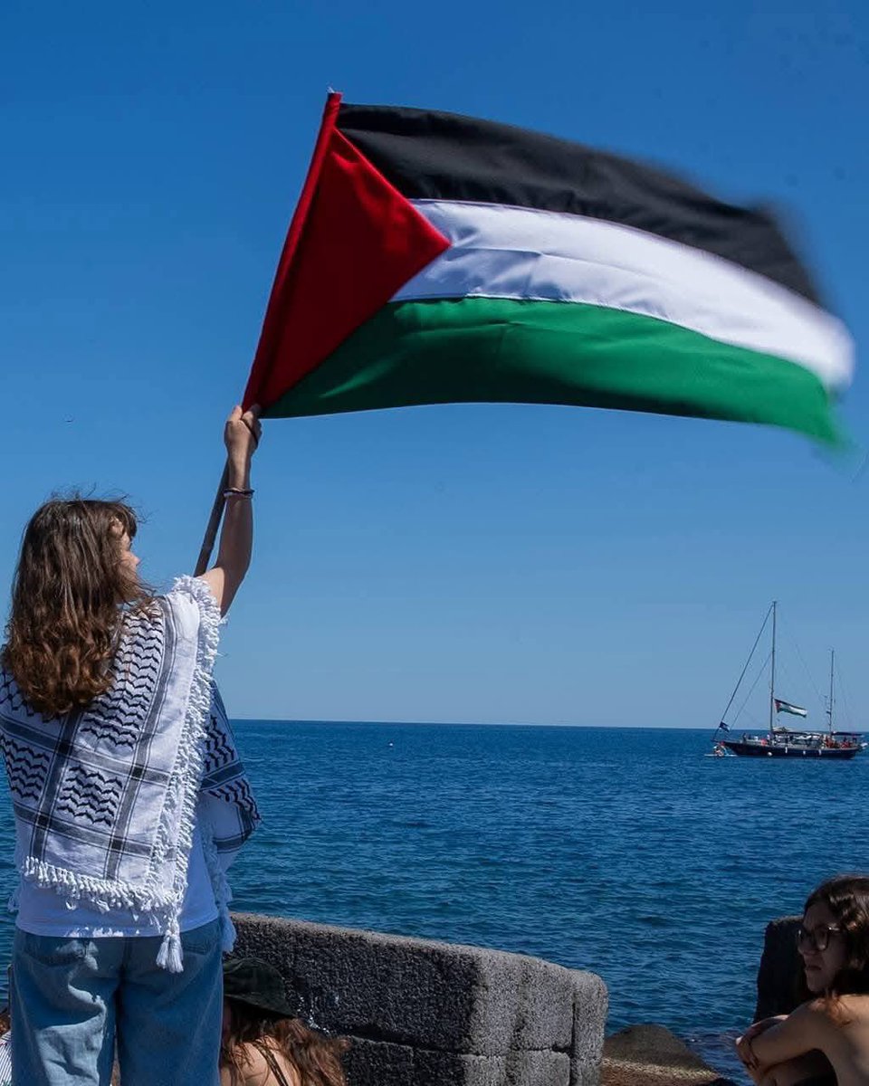 Nermeen from Gaza 𓂆🇵🇸🍉 tweet media