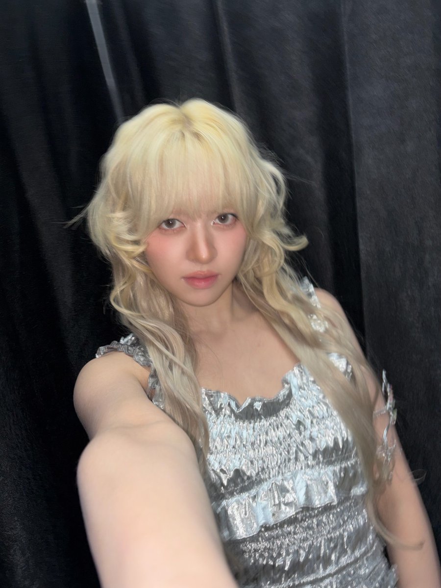 lily source tweet media