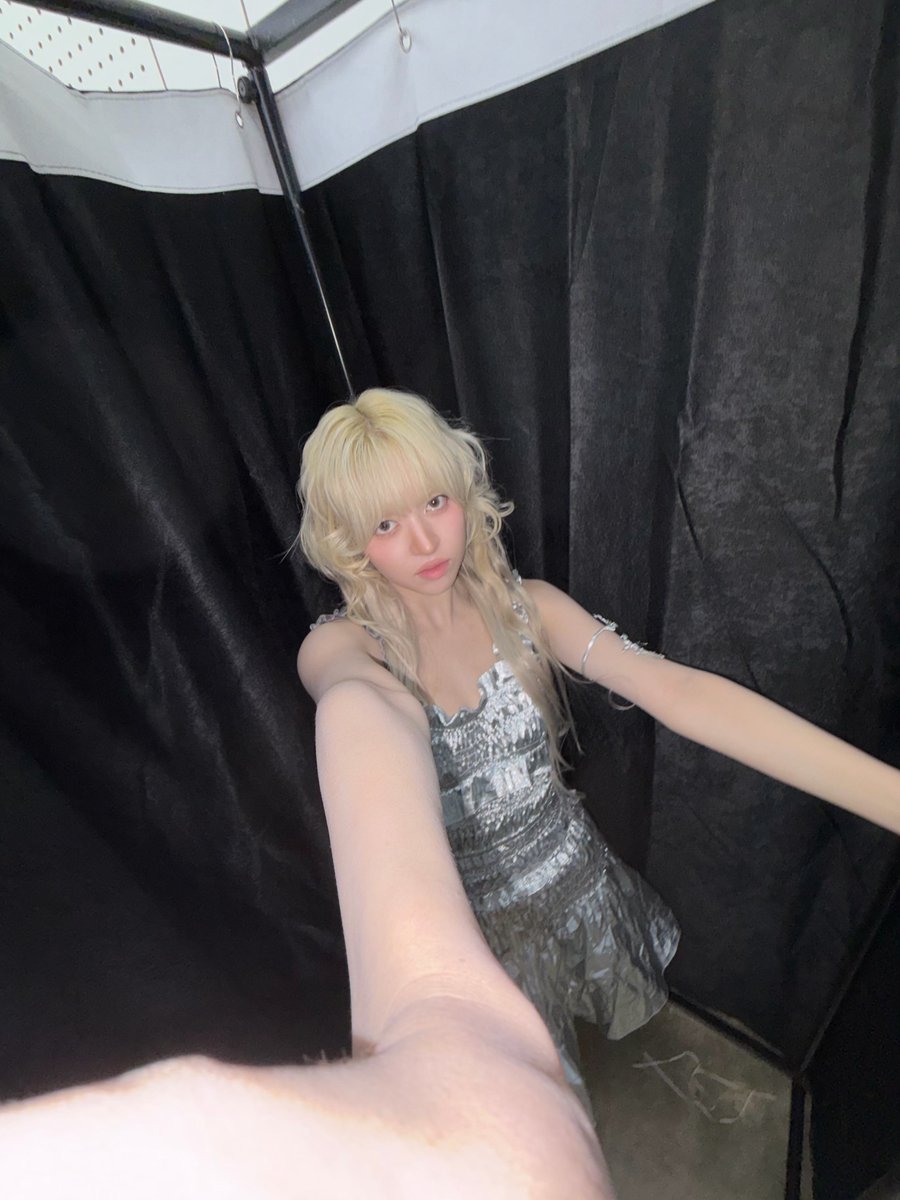 lily source tweet media