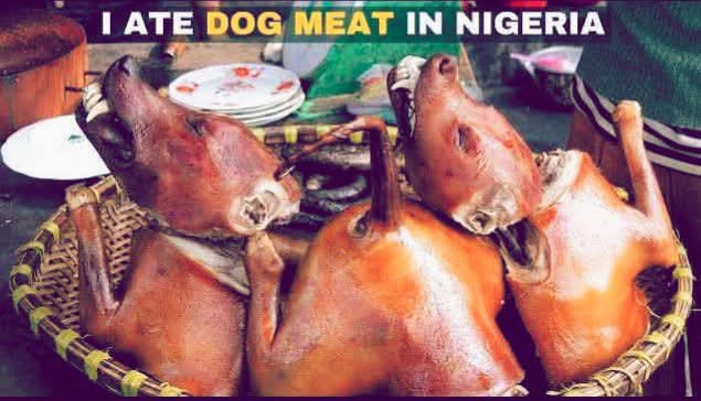 SouthAfrican Xhosaman🇿🇦🇮🇱 tweet media