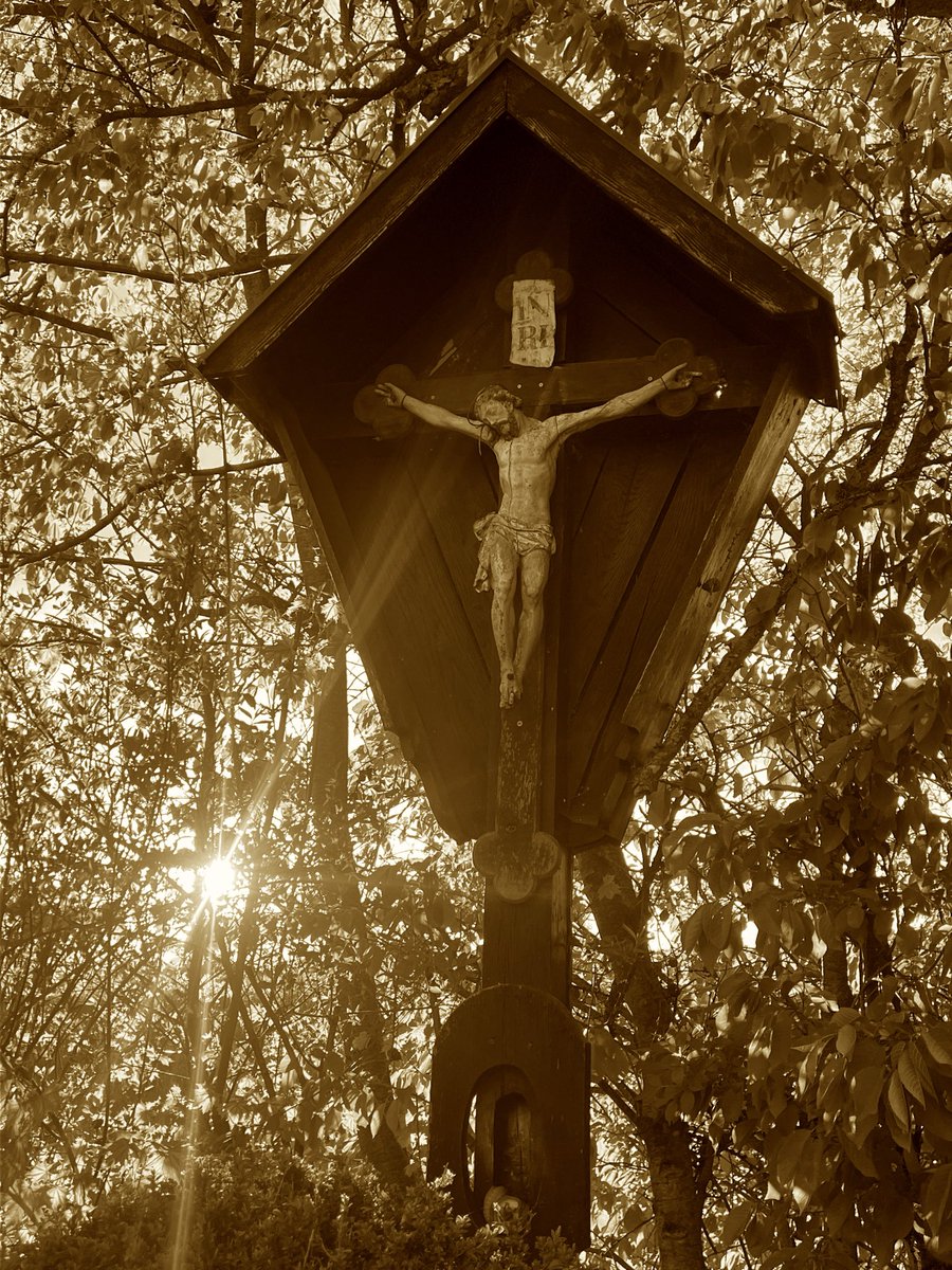 „Geliebte, wenn ihr recht handelt und trotzdem Leiden erduldet, das ist eine Gnade in den Augen Gottes.
Dazu seid ihr berufen worden; denn auch Christus hat für euch gelitten und euch ein Beispiel gegeben, damit ihr seinen Spuren folgt.
Er hat keine Sünde begangen und in seinem